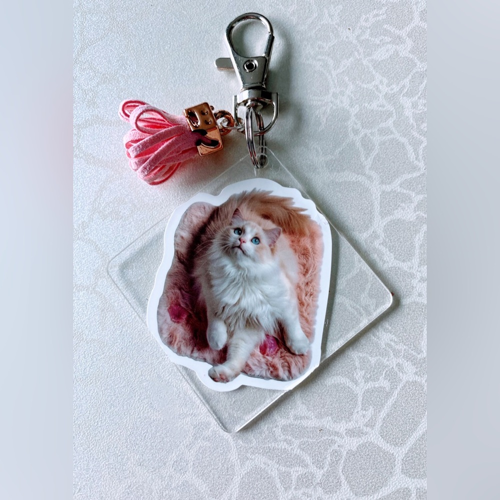 Pink Cat Keychain with Tassel